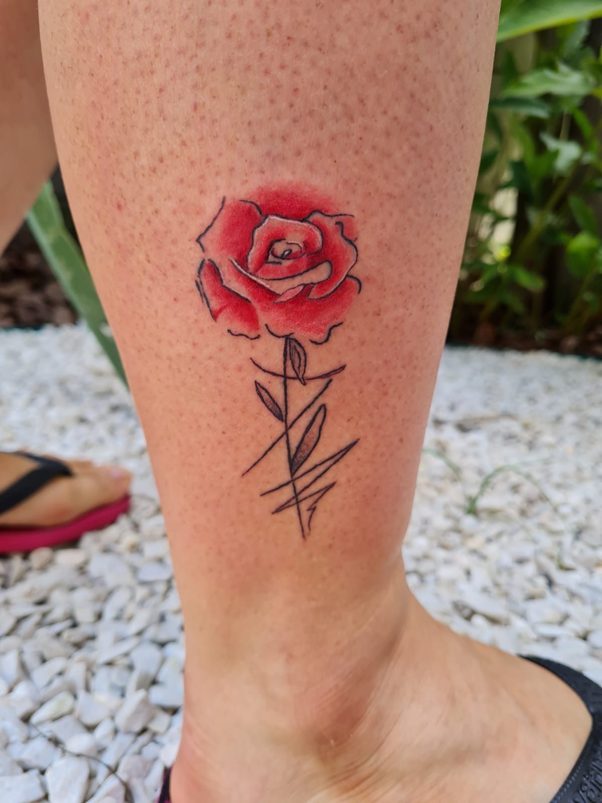 Trabalho de aluno – rosa vermelha